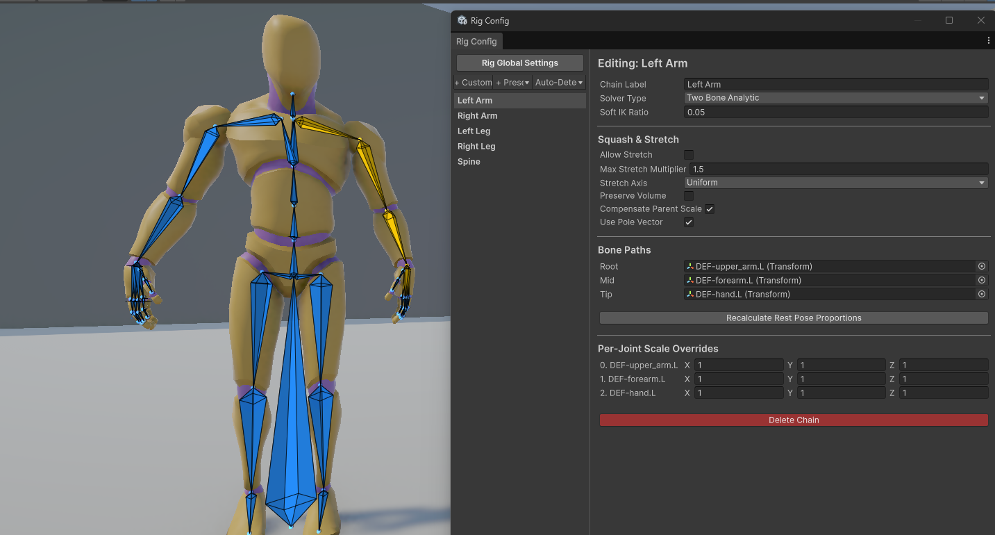 IK Rig Configuration Window